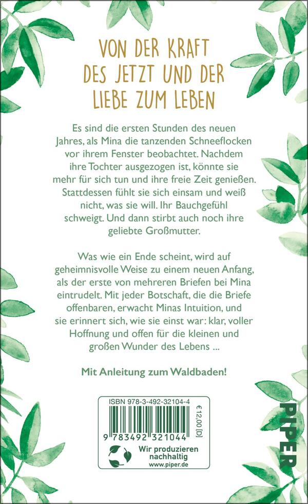 Rückansicht des Buches „Das Licht eines Jahres“ 