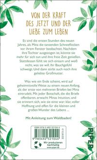 Rückansicht des Buches „Das Licht eines Jahres“ 