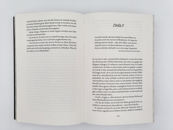 Innenansicht des Buches „Kingdom of the Wicked – Der Fürst des Zorns“