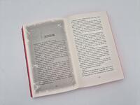 Außenansicht des Buches „Rush In“