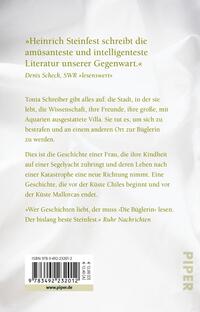 Rückansicht des Buches „Die Büglerin“