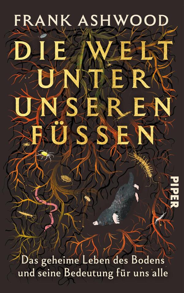 Das Buchcover zeigt vor dunkelbraunem Hintergrund ein dichtes Geflecht aus Wurzeln in Orange-, Gelb- und Grüntönen, dazwischen Regenwürmer, ein Tausendfüßler und ein grau-schwarzer Maulwurf. Der Titel „Die Welt unter unseren Füßen“ steht in großer goldgelber Serifenschrift zentriert; oben der Autorenname „Frank Ashwood“ in weißen Großbuchstaben, unten der weiße Untertitel „Das geheime Leben des Bodens und seine Bedeutung für uns alle“. Die Atmosphäre wirkt geheimnisvoll und organisch.