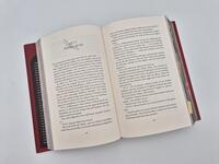 Außenansicht des Buches „A Stage set for Villains (Deluxe-Ausgabe)“