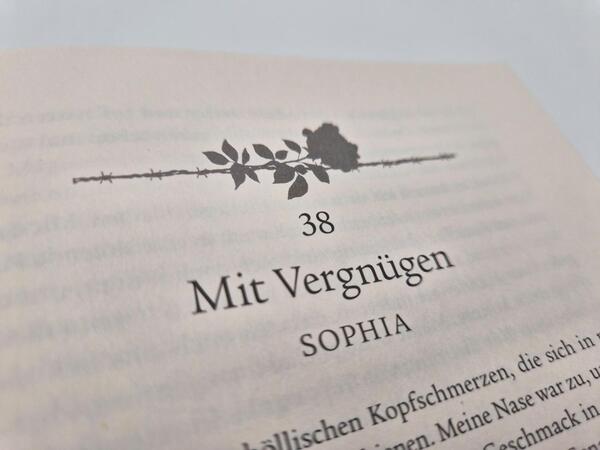 Außenansicht des Buches „Darkest Reign – Im Schatten des Jägers“