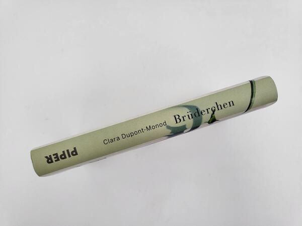 Innenansicht des Buches „Brüderchen“
