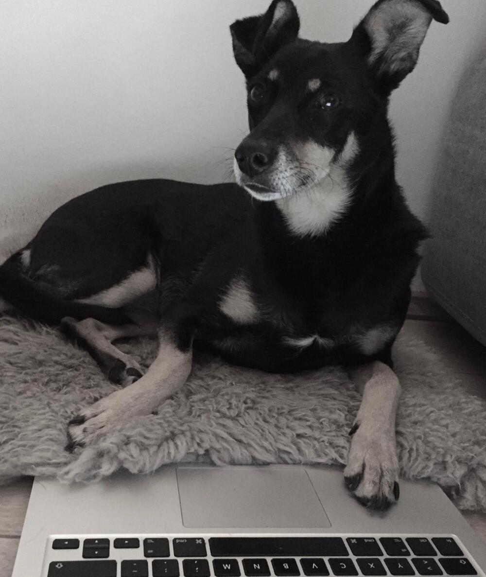 Foto von Lily Schönfuß