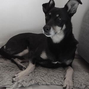 Foto von Lily Schönfuß