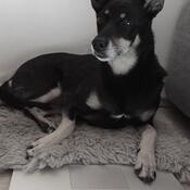 Lily Schönfuß