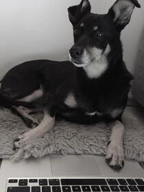 Lily Schönfuß