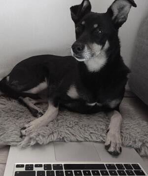 Lily Schönfuß