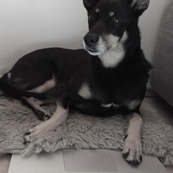 Foto von Lily Schönfuß