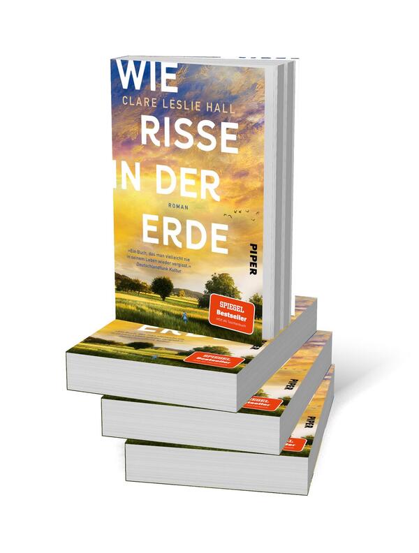Bücherstapel des Buches „Wie Risse in der Erde“