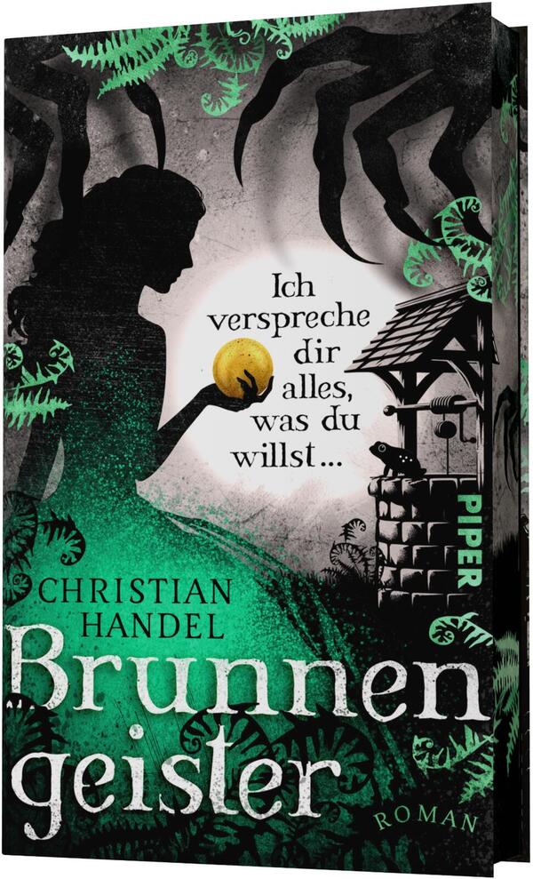 Außenansicht des Buches „Brunnengeister – Ich verspreche dir alles, was du willst ...“