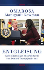 Entgleisung 