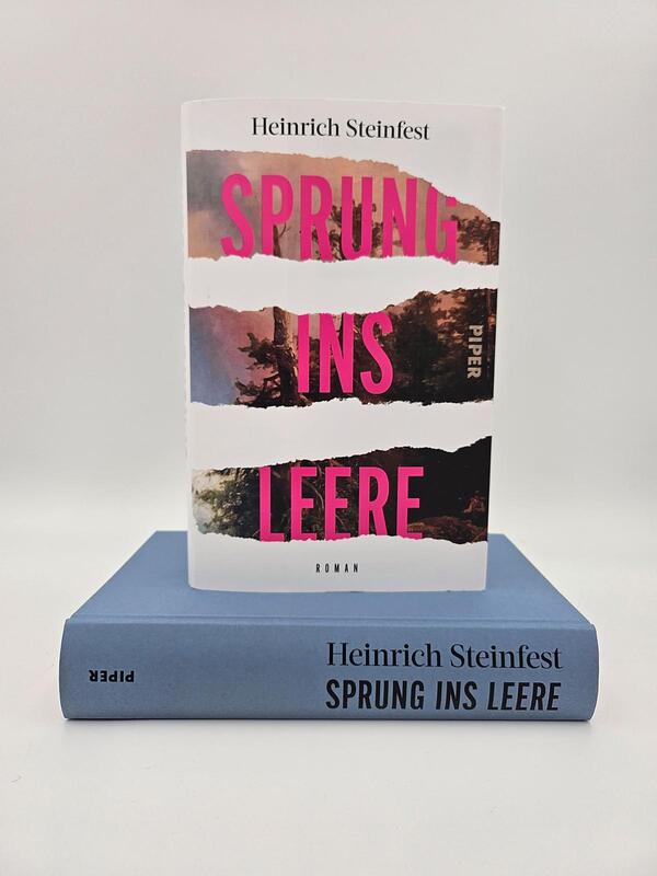 Innenansicht des Buches „Sprung ins Leere“