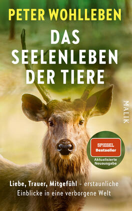 Das Buchcover zeigt einen frontalen jungen Hirsch vor unscharfem, grün-gelblichem Waldhintergrund. Oben steht der Autorenname „PETER WOHLLEBEN“ in gelber Großschrift, mittig der Titel „DAS SEELENLEBEN DER TIERE“ in großer weißer Großschrift, unten ein weißer Untertitel. Rechts unten ein runder Button mit dem Text „SPIEGEL Bestseller“ und „Aktualisierte Neuausgabe“. Stimmung: ruhig, naturverbunden, einfühlsam.