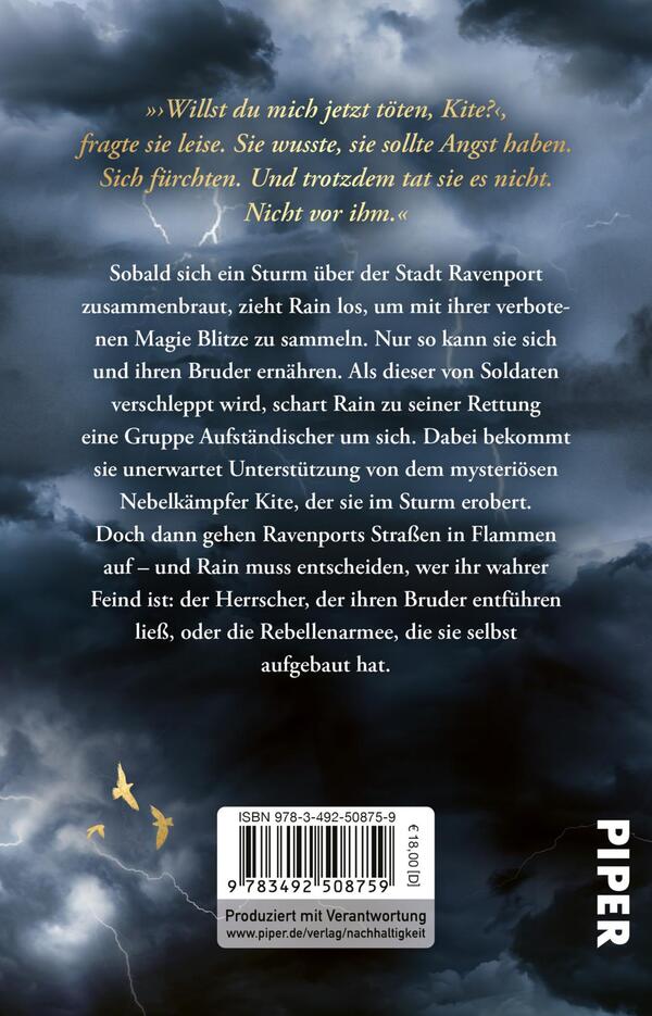 Rückansicht des Buches „City of Storm and Thunder“