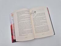 Außenansicht des Buches „Dragon Cursed – Zeig keine Gnade“