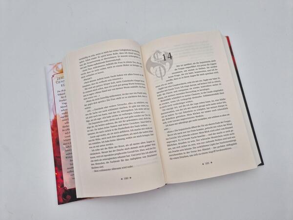 Außenansicht des Buches „Dragon Cursed – Zeig keine Gnade“