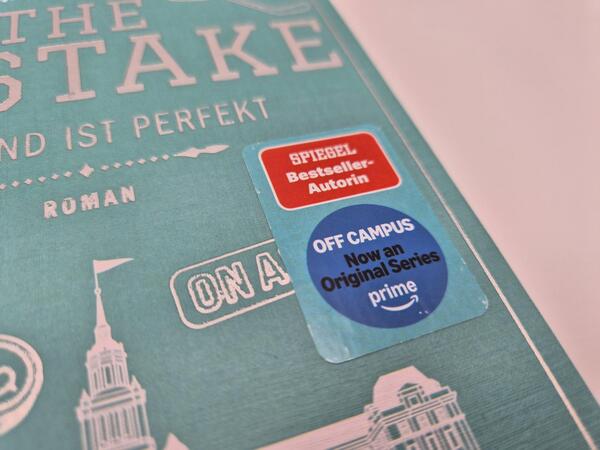 Außenansicht des Buches „The Mistake – Niemand ist perfekt“