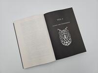 Außenansicht des Buches „The Curse of Saints“