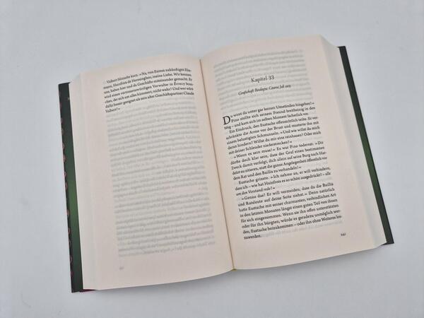 Außenansicht des Buches „Thron der Diebe“