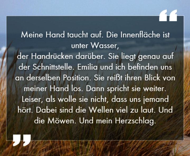 Zitat aus Rebekka Zeiss' „Wellenbrechen“