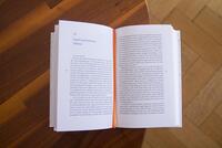 Innenansicht des Buches „Schecks Kanon“