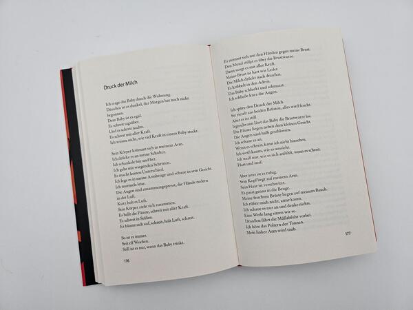 Außenansicht des Buches „Einen Vulkan besteigen“