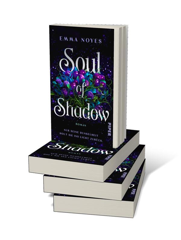 Bücherstapel des Buches „Soul of Shadow“
