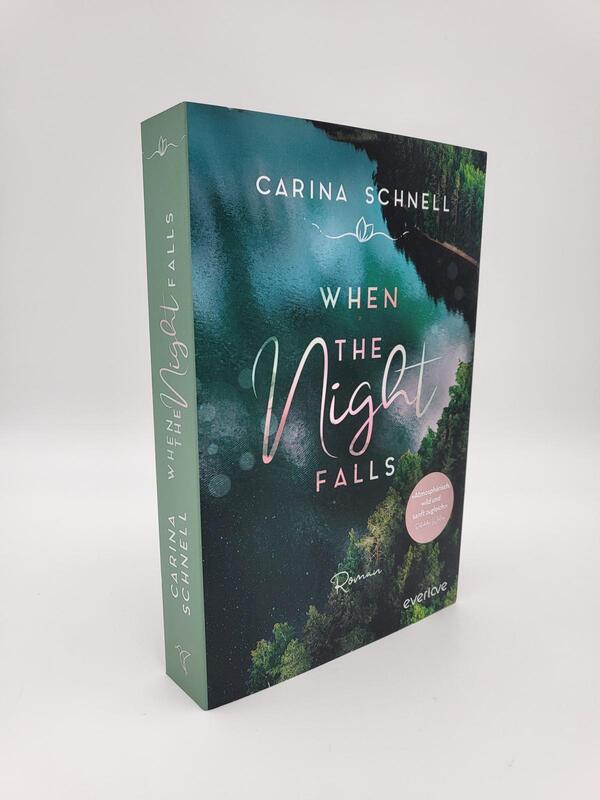 Innenansicht des Buches „When the Night Falls “