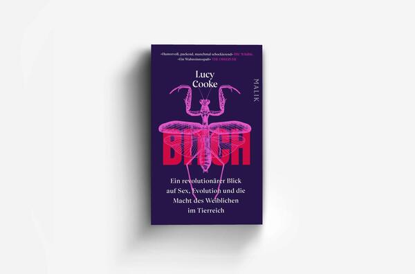 Außenansicht des Buches „Bitch – Ein revolutionärer Blick auf Sex, Evolution und die Macht des Weiblichen im Tierreich“