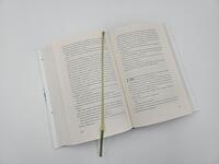 Innenansicht des Buches „In den Farben des Dunkels“