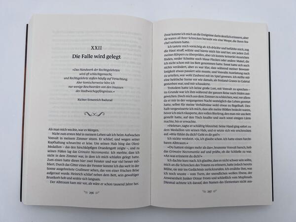 Innenansicht des Buches „Im Netz des Dämons“