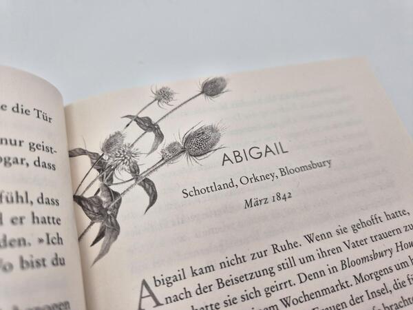 Außenansicht des Buches „Die Gezeitentochter“