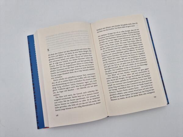 Außenansicht des Buches „Melville verschwindet“