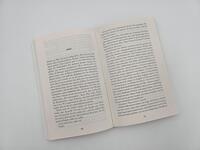 Außenansicht des Buches „Die Perserinnen“