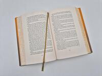 Außenansicht des Buches „Peck & Peck“