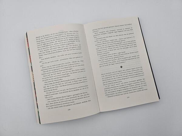 Außenansicht des Buches „Crimson Sky – Die Seelenjägerin“