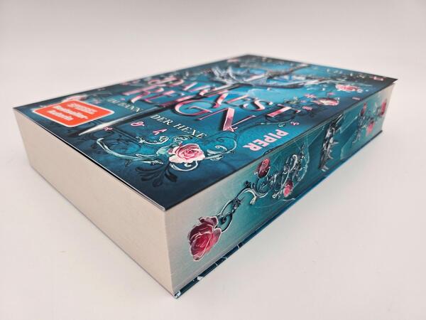 Außenansicht des Buches „Darkest Reign – Im Bann der Hexe“