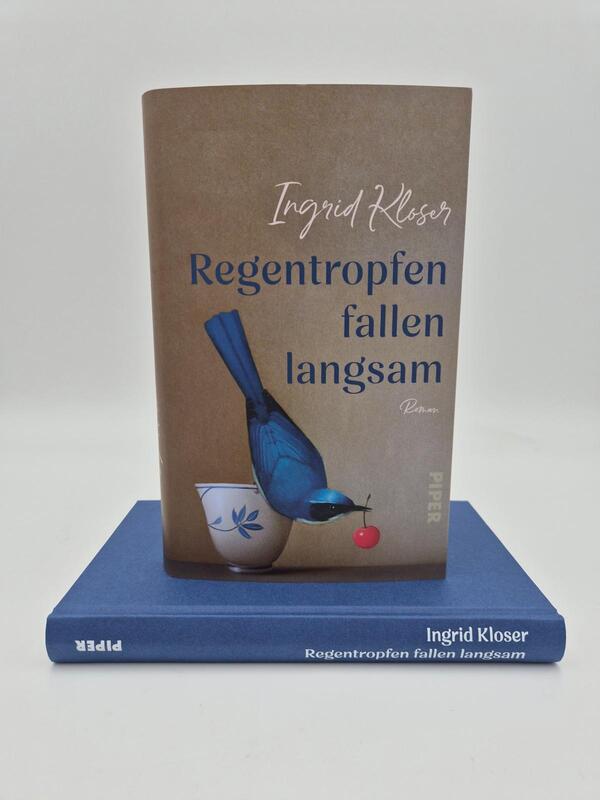 Außenansicht des Buches „Regentropfen fallen langsam“