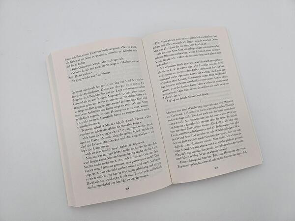 Außenansicht des Buches „Die Perserinnen“