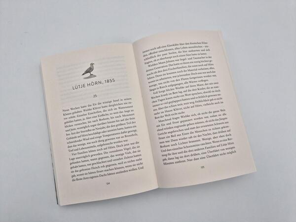 Außenansicht des Buches „Ruf der Wellen“