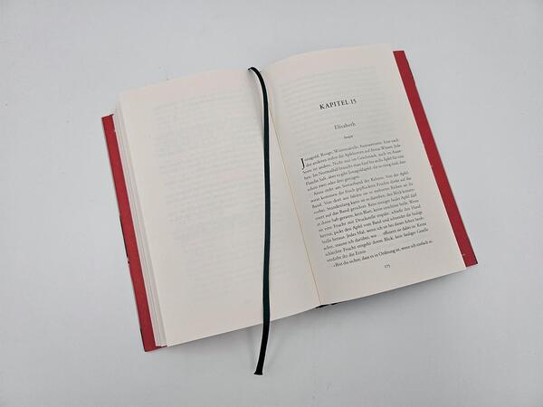 Innenansicht des Buches „Späte Ernte“