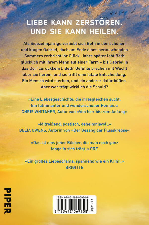 Rückansicht des Buches „Wie Risse in der Erde“