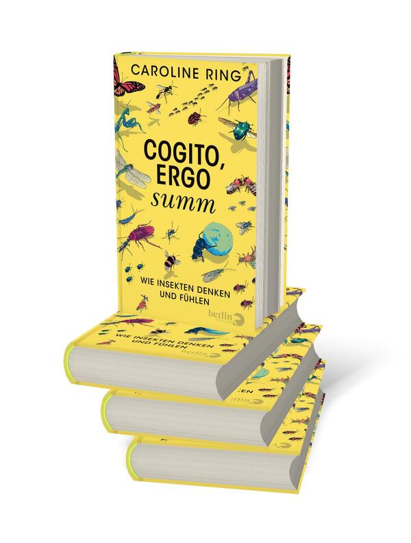 Bücherstapel des Buches „Cogito, ergo summ“