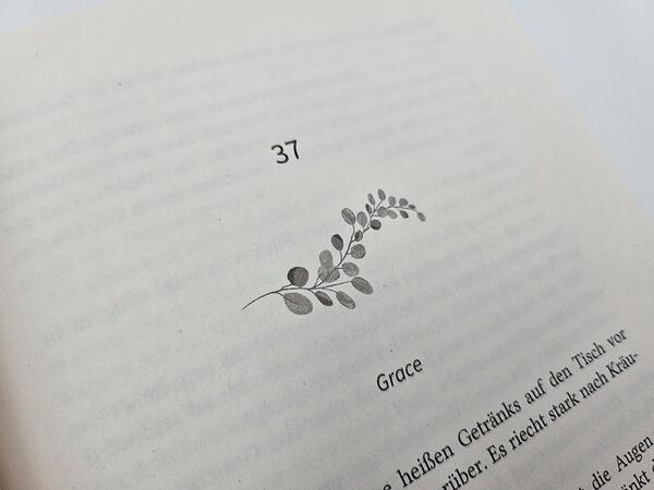 Außenansicht des Buches „Forbidden Lies“