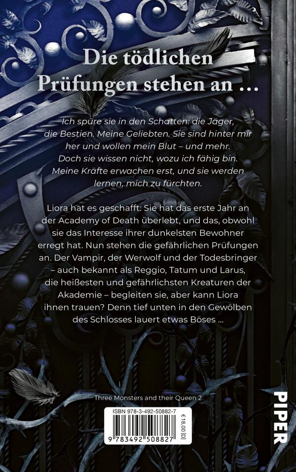 Rückansicht des Buches „Nightfallen – Academy of Death“