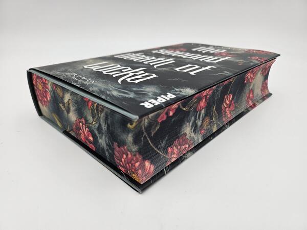 Außenansicht des Buches „The Second Death of Locke“