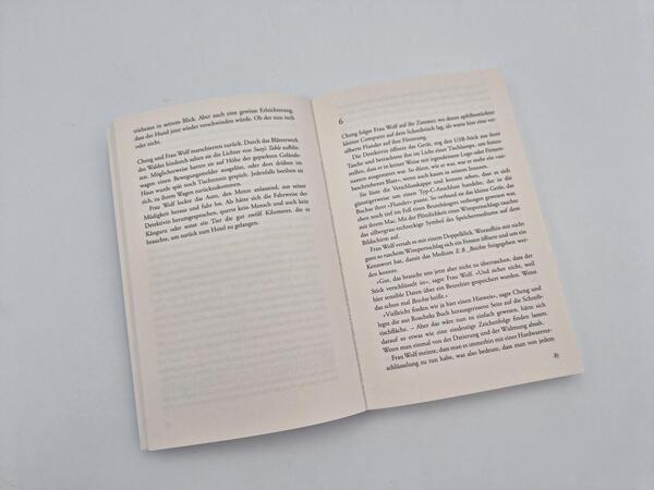 Außenansicht des Buches „Gemälde eines Mordes“